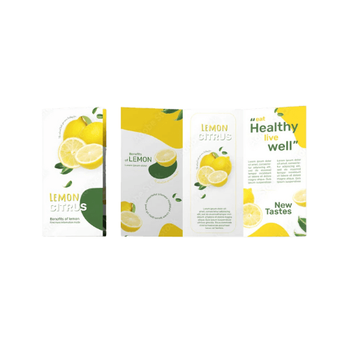 A4 Leaflets view 3