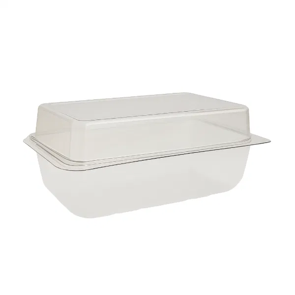 Rectangular Hinged Lid Cake Container 206x115x80mm (6x40)